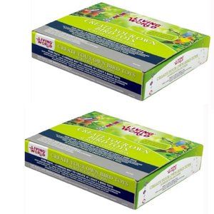 2 - Living World Create Your Own Acrylic Bird Toy Kit